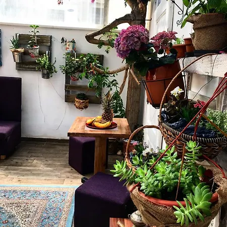 Eshe Boutique Inn